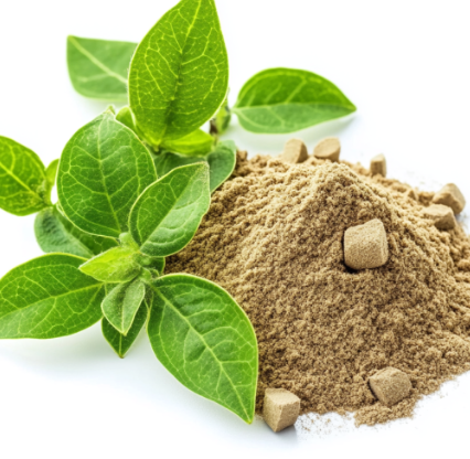 Gymnema Leaf Extract ingredient